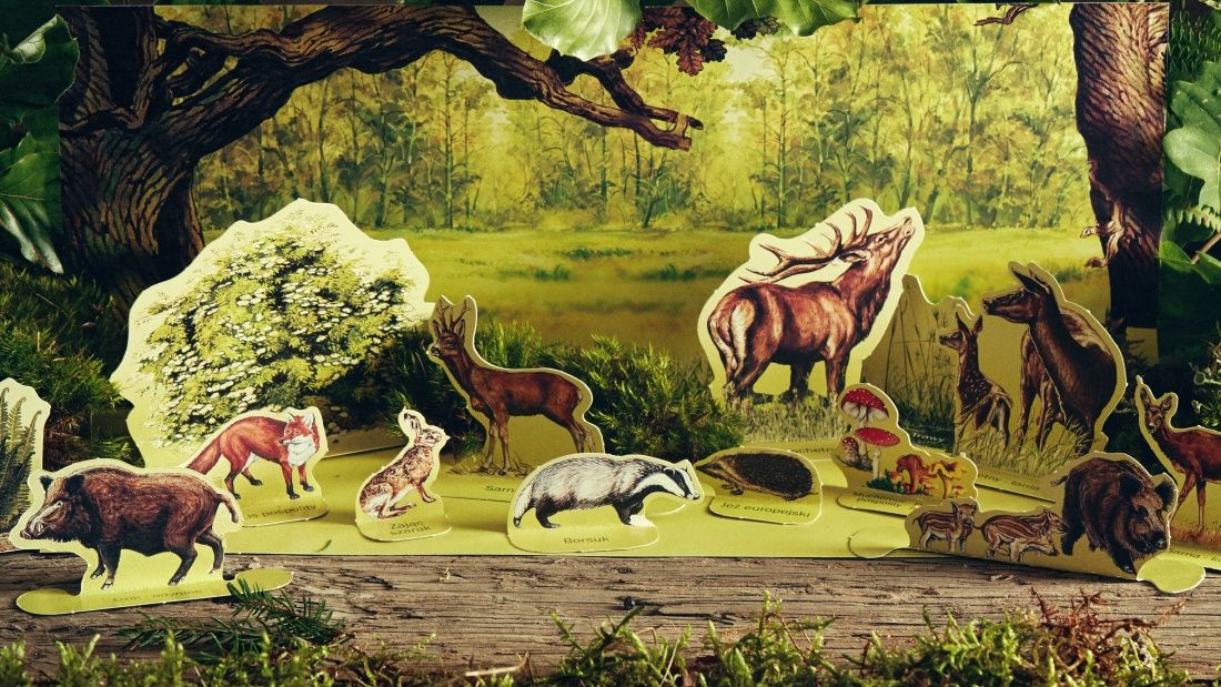 Makieta leśna polana PulsArt