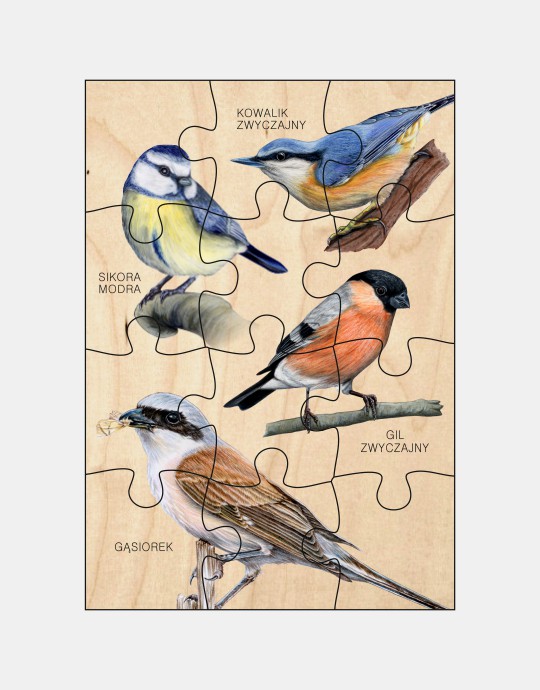 Puzzle drewniane - Ptaki
