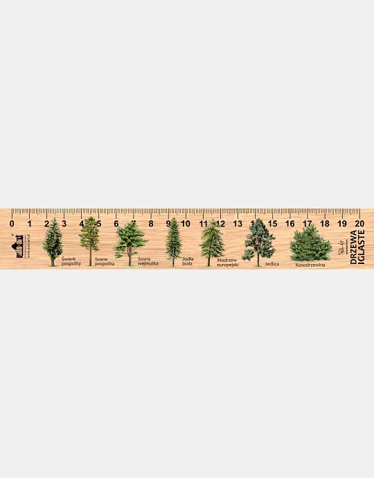 LESs-12 - drzewa iglaste (linijka drewniana)