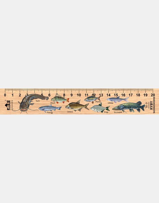 LESs-31 - Ryby slodkowodne (linijka drewniana)