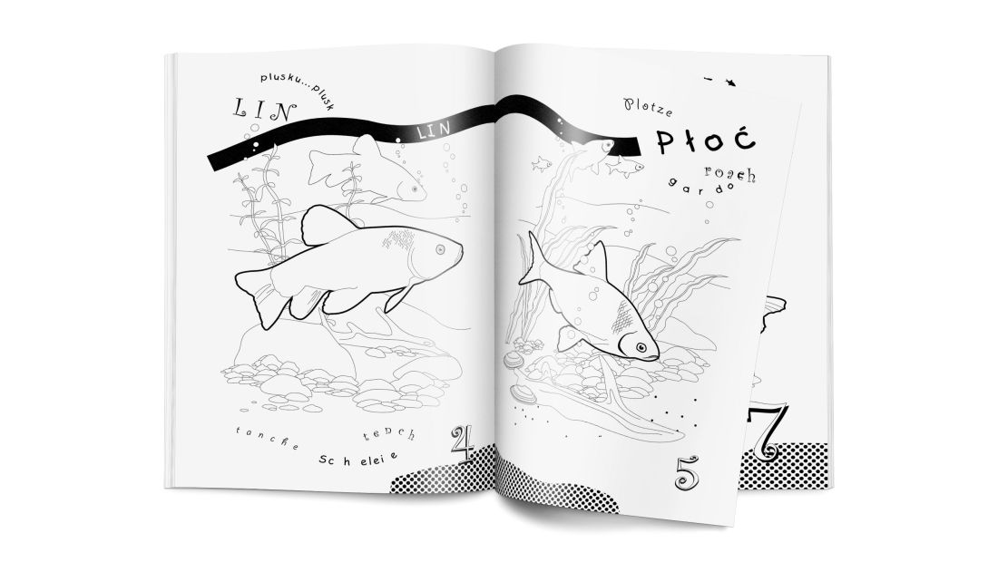 Kolorowanka RYBY - obrazek 5